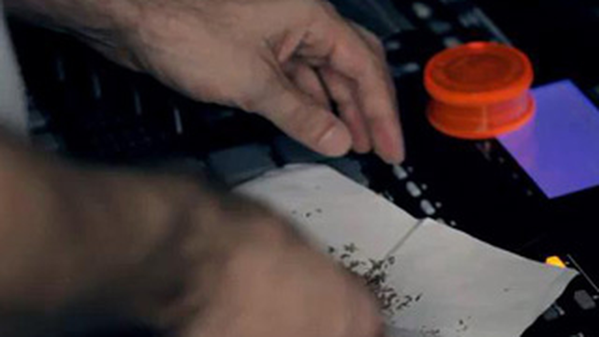 Sisu nu se invata minte! Ruleaza jointuri chiar si in ultimul clip