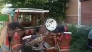 El este cel mai inventiv bătrânel din Galaţi! Uite cum şi-a transformat căruţa în maşină:”Am semnalizare, chiar şi muzică…“