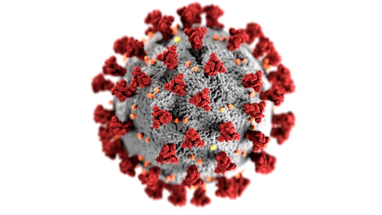 Bilanț coronavirus România, 26 ianuarie 2022. Câte cazuri noi de coronavirus s-au înregistrat în ultimele 24 de ore