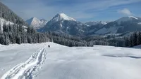 Alertă meteo de ninsori şi vânt puternic!