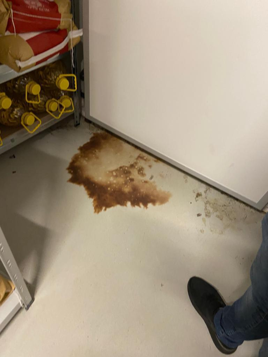 Imaginile care îl contrazic pe Pescobar. Ce au găsit inspectorii ANPC la Taverna Racilor din Timișoara