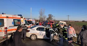 Galerie foto - poza 3