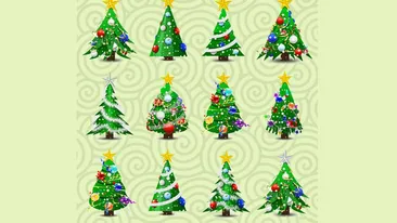 Test IQ de Ajunul Crăciunului | Care 2 dintre cei 12 brazi sunt identici?