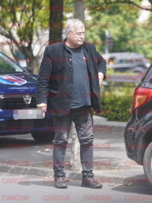 Mircea Dinescu, relaxat pe stradă
