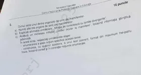 Galerie foto - poza 3