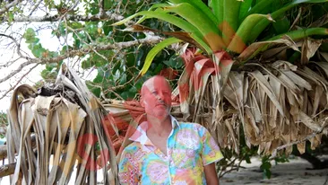 Ministrul Finantelor il desfiinteaza pe Andrei Gheorghe: Dupa trei zile era muci