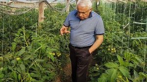 Ministrul Agriculturii, datorii de 3.600 lei la taxe și impozite. Petre Daea: "Înseamnă că trebuie să mă achit repede"