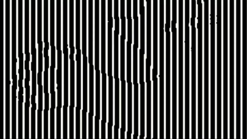 Iluzie optică virală | Numiți animalul care se ascunde în această fotografie