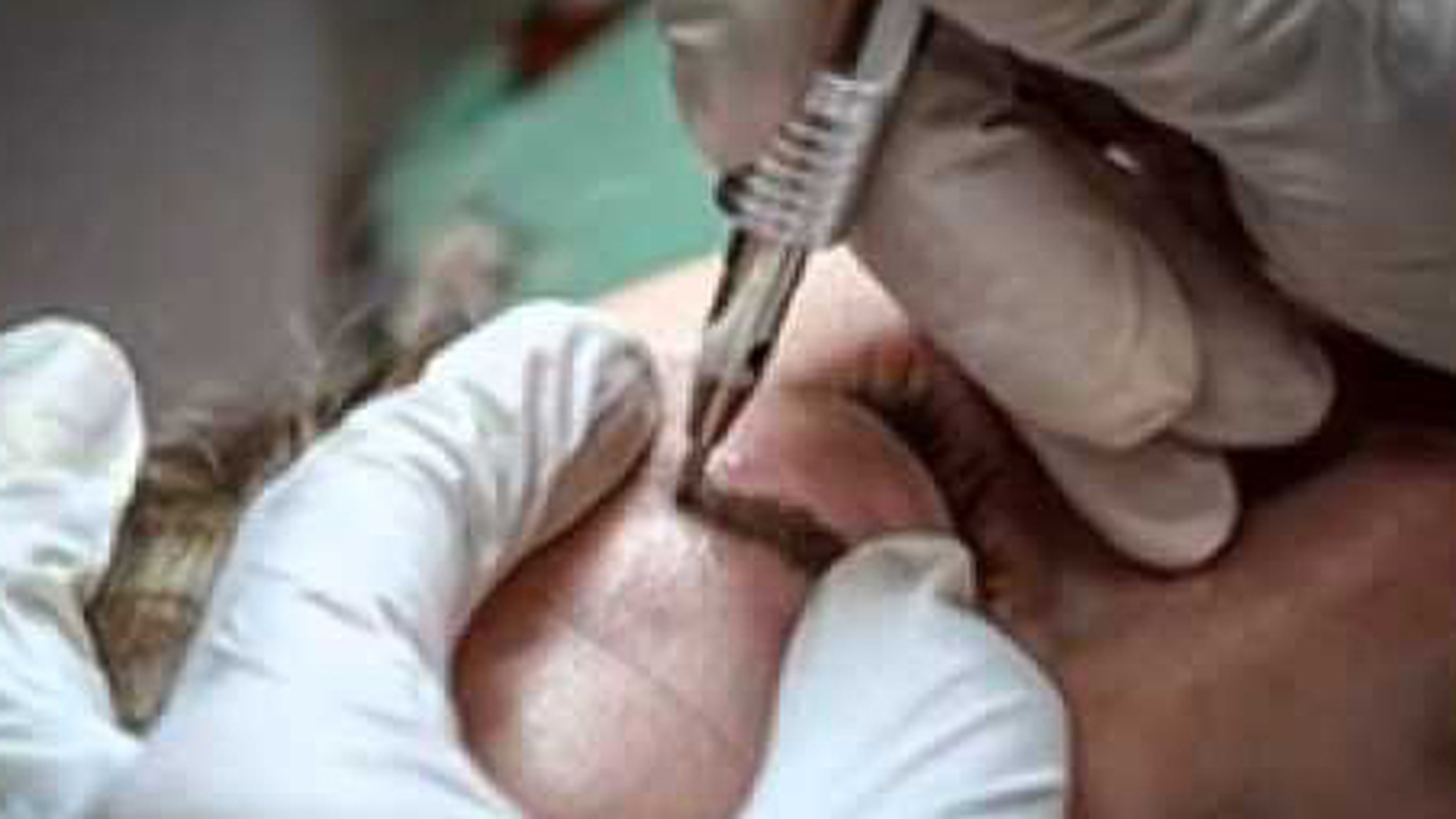 Ce si-a tatuat un roman pe spate: "Urasc femeile perverse..." Continuarea este ilara!