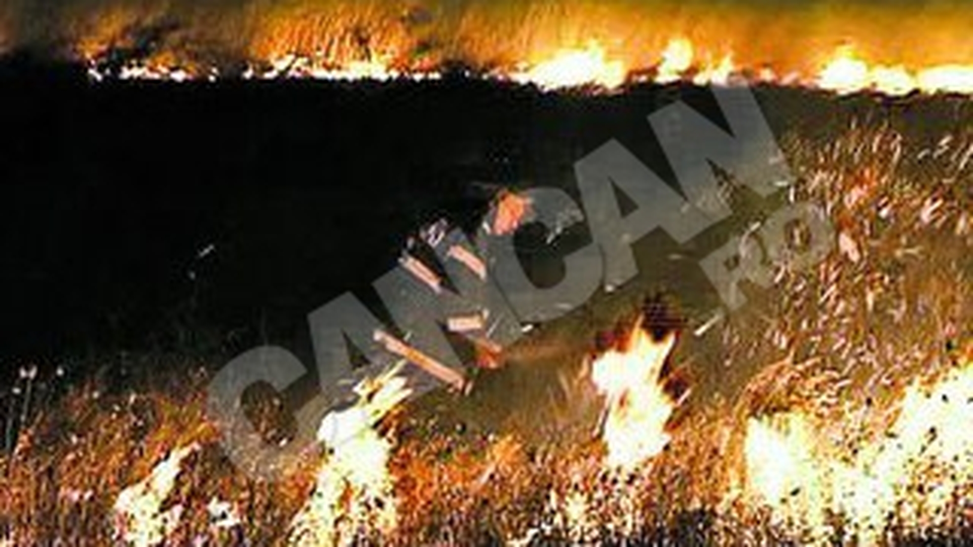 Au ars 300 de hectare din Biosfera Delta Dunarii