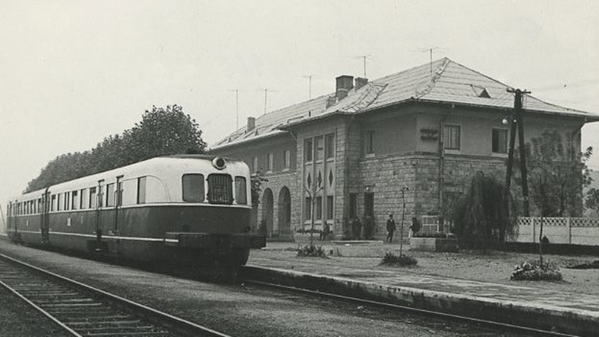 Un afacerist al României dodoloațe
