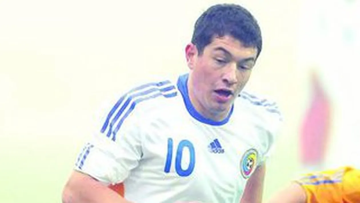 Prepelita lauda Rapidul