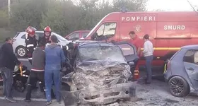 Galerie foto - poza 3