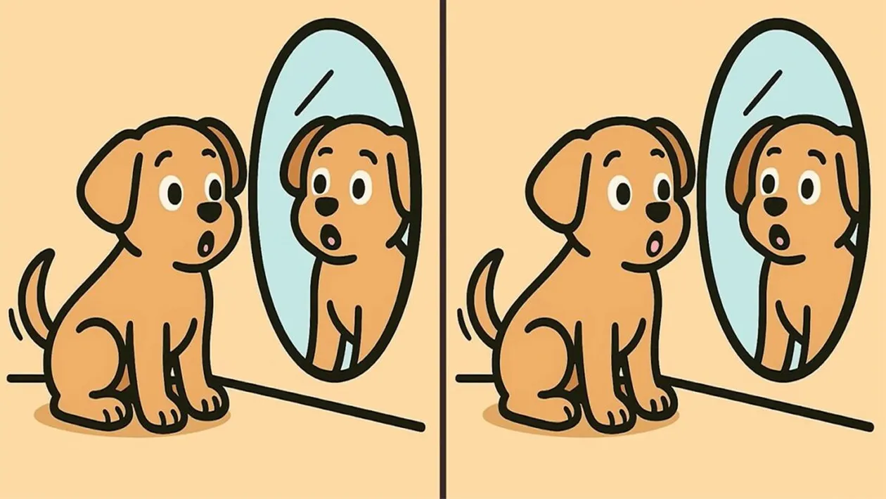 Test de logică | 3 diferențe în maximum 31 de secunde: Le puteți găsi pe toate?