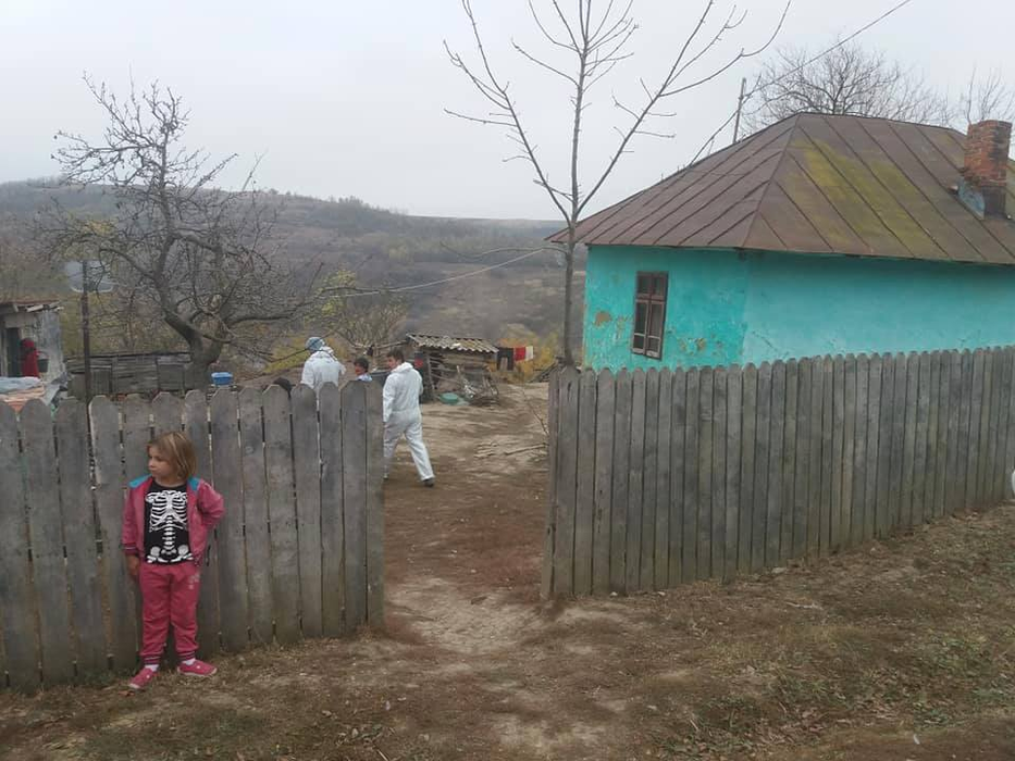 Echipele de combatere a pestei porcine au descins în sat