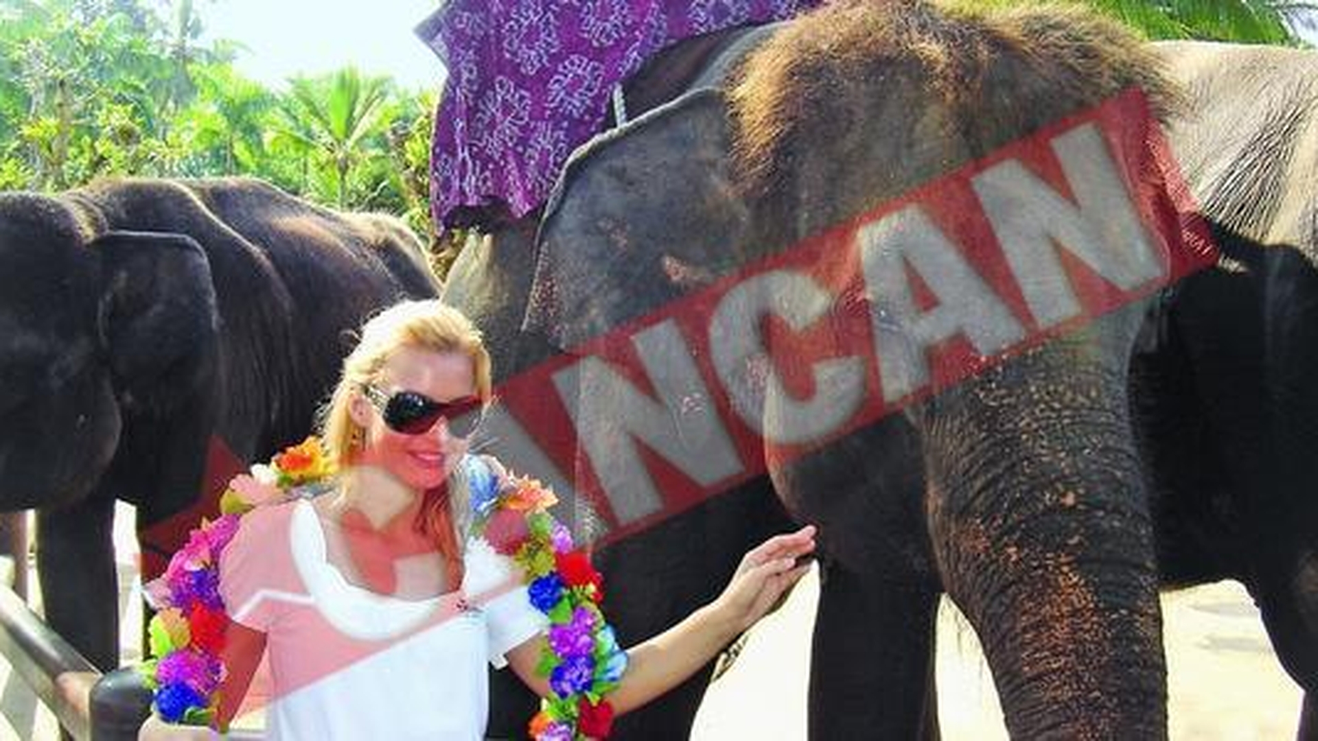 Monica Dascalu a hranit elefantii din Singapore