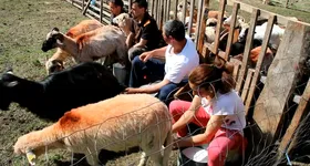 Galerie foto - poza 4