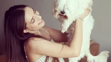 Concert pentru animale, în București, susținut de Tallina