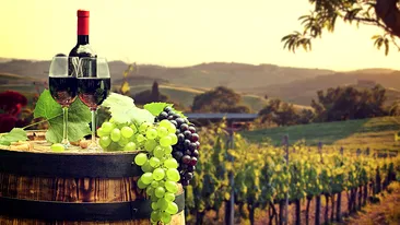 Ideea inedită a viticultorilor italieni ajunși în pragul falimentului din cauza crizei provocată de coronavirus! Vin transformat în gel dezinfectant