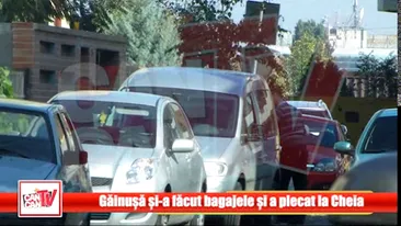 Gainusa se teme si el sa mai conduca! Si-a facut provizii si a evadat din Bucuresti