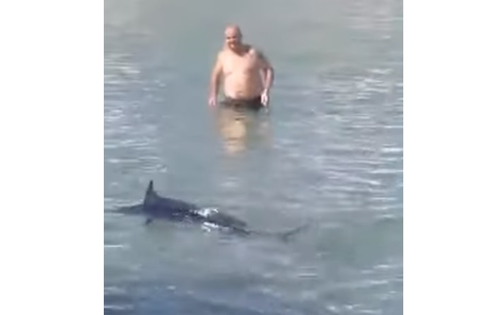 Scene revoltătoare pe o plajă cunoscută din Grecia. Mai mulți turişti au fost filmaţi în timp ce omorau un peşte-spadă cu pietre