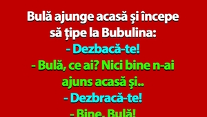 BANC | Bulă ajunge acasă și începe să țipe la Bubulina