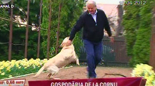 De Paste, la Cornu, Adrian Nastase isi facea planuri de viitor, dar era si nemultumit: "Pentru ca vorbesc prea mult, in familie sunt deseori criticat! Nu stiu ce e aia pensie, lucrurile astea nu se opresc. Viata continua!"