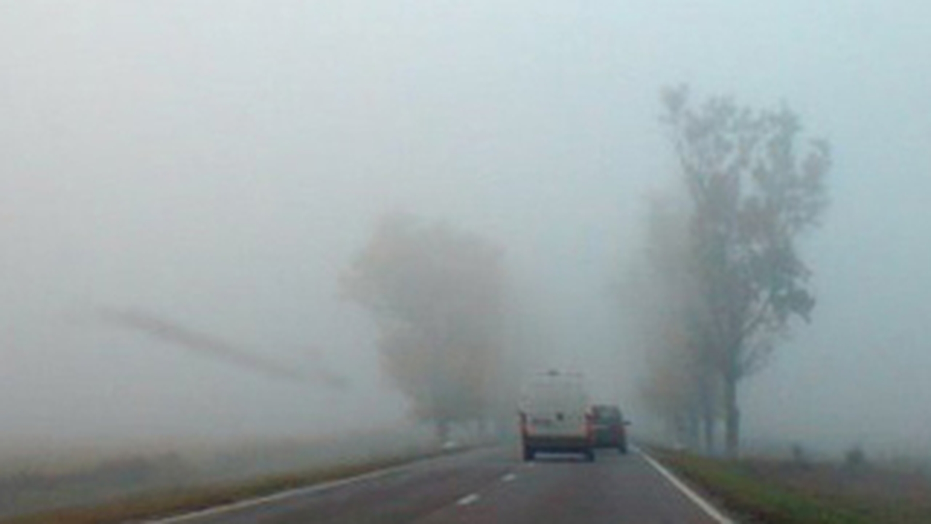Trafic pe DN 1 si DN 1 A este ingreunat de ceata deasa si carosabilul umed!