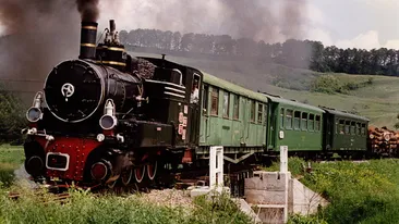 Clipe de coșmar pentru turiștii care se plimbau cu Mocănița: ”Am parcurs drumul cu inimile strânse, sechestrați într-un tren în care trebuia să ne distrăm”