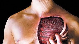 Ce se ascunde cu adevarat in spatele durerilor musculare!
