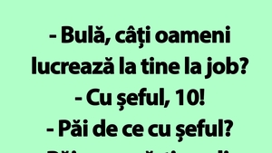 BANC | "Bulă, câți oameni lucrează la tine la job?"