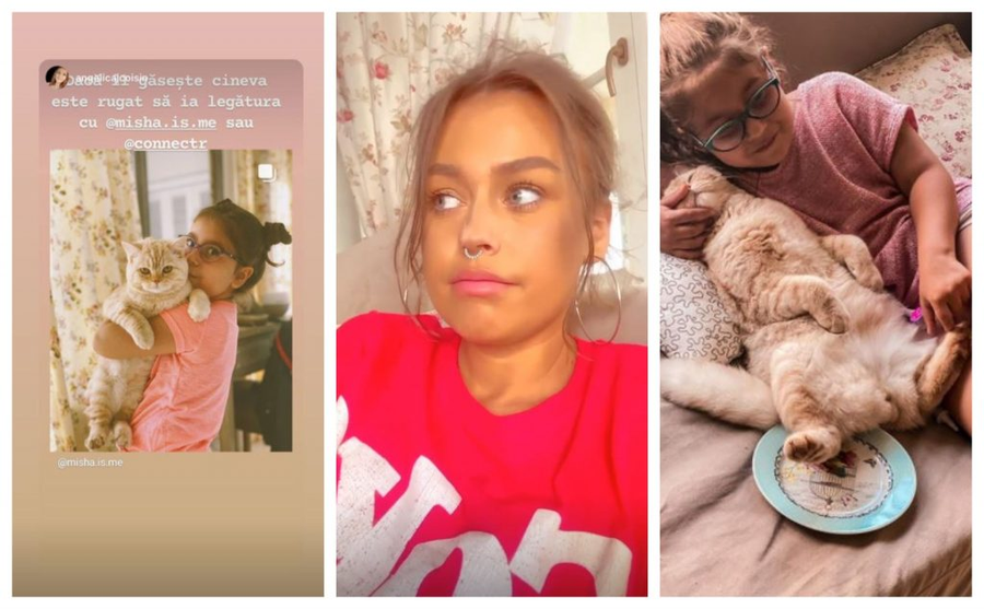 Misha a făcut un apel emoționant pentru găsirea motanului ei și, împreună cu fostul soț, Connect-R oferă recompensă celui sau celei care i-l aduce acasă © Instagram Stories / Instagram / domnul_moshulescu