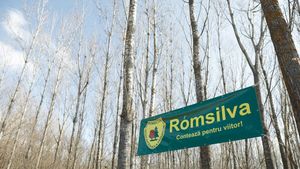 Prime colosale la pensionare pentru angajații Romsilva: 100.000 de euro