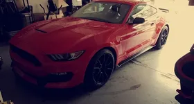 Galerie foto - poza 2