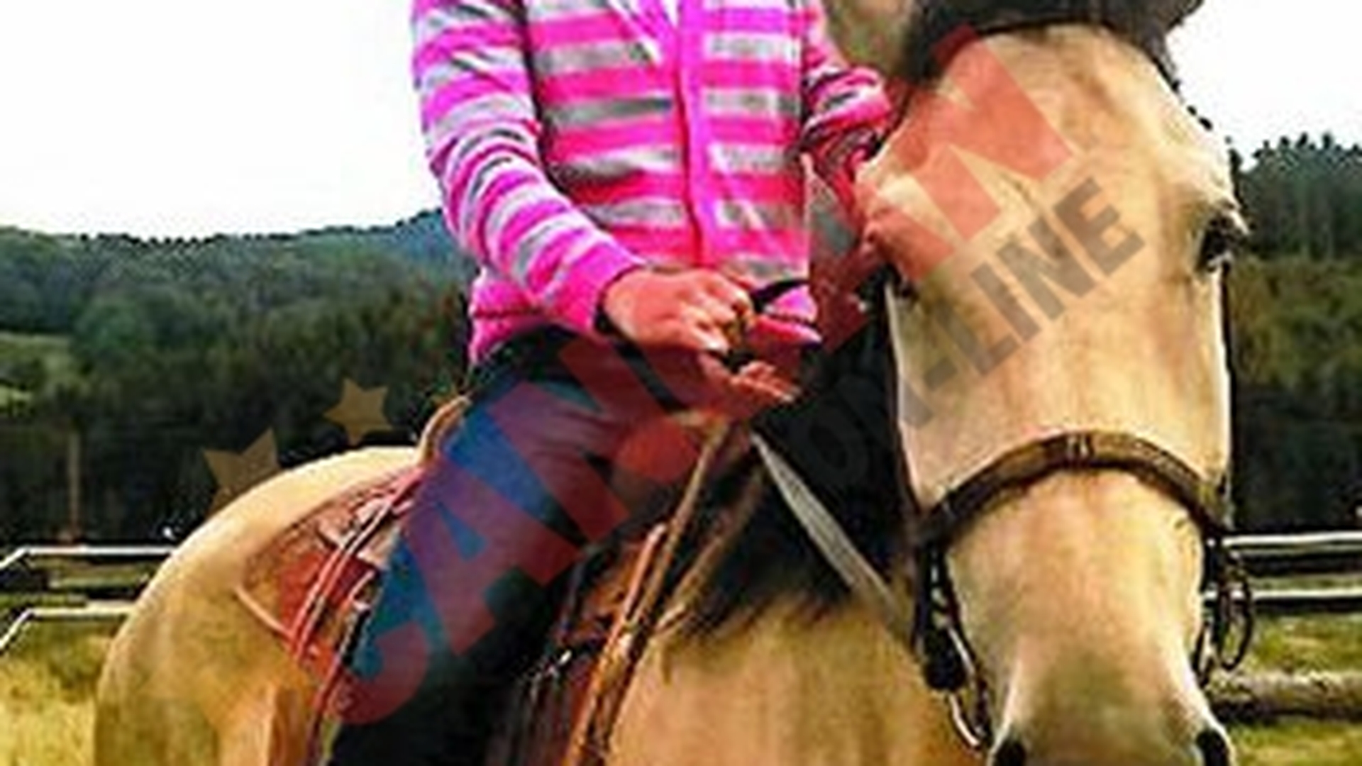 Cowboy de... Dorobanti!