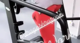 Galerie foto - poza 3