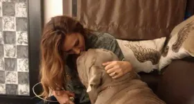 Galerie foto - poza 2