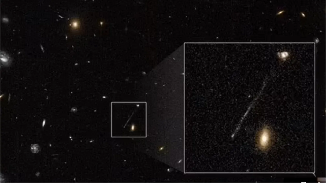 Cea mai mare amenințare pentru noi vine din Univers. Este un monstru în libertate, anunță NASA