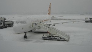Mai multe curse de pe Otopeni si Baneasa au fost anulate!