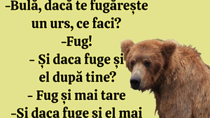 BANC | "Bulă, dacă te fugărește un urs, ce faci?"