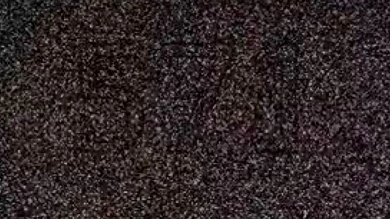 Test de inteligență | Doar 1% dintre oameni poate spune ce număr se ascunde în această iluzie optică