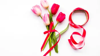 Florile potrivite pentru 8 Martie: Ce simbolizează lalelele, freziile și trandafirii oferiți de Ziua Femeii