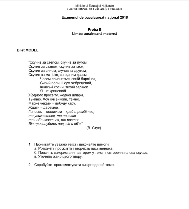 Bacalaureat 2019. Cum se rezolvă subiectele la limba și literatura maternă oral