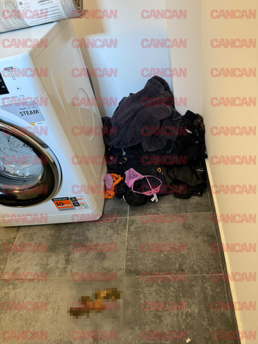 Calina Roman a mai distrus un apartament