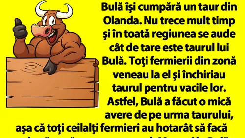 BANC | Bulă și taurul din Olanda