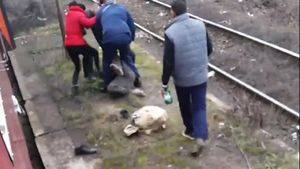 EXCLUSIV. Detalii revoltătoare în cazul bărbatului dat jos din tren şi lovit cu sălbăticie. Halucinant: Bătăuşii scapă nepedepsiţi
