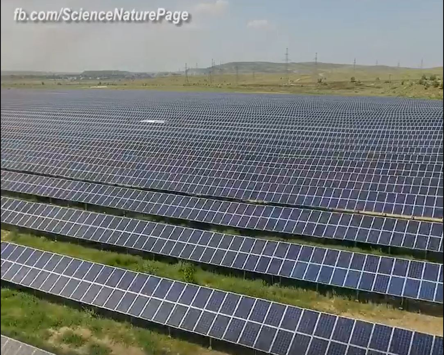 Cum ar arăta Terra dacă toți oamenii ar dispărea. Imagini virale în plină pandemie COVID-19