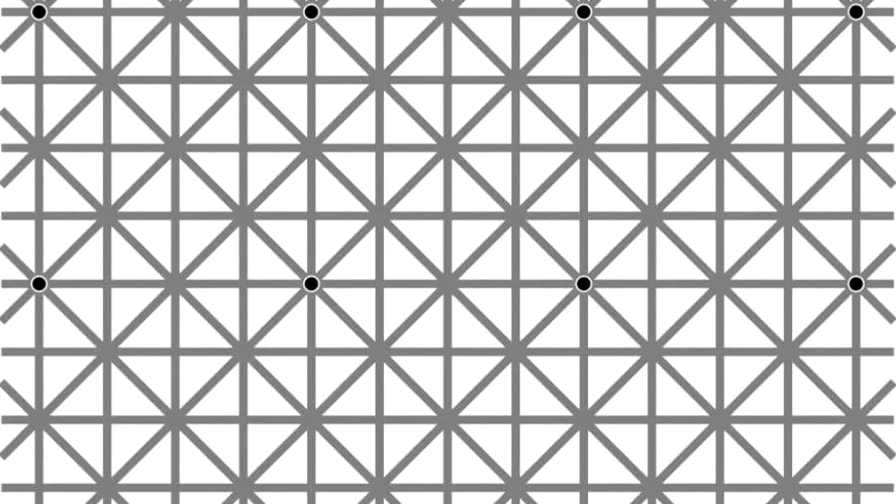 Iluzia optică ce a păcălit 2 milioane de oameni. Câte puncte negre vedeţi în imagine?