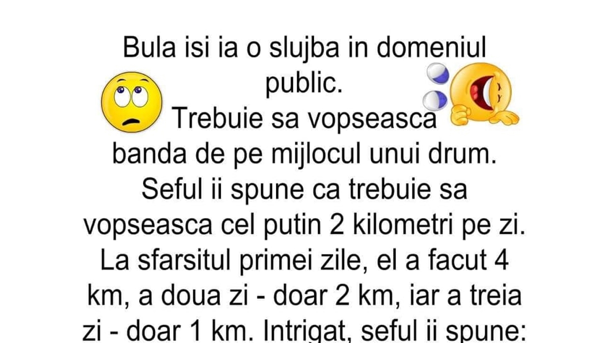 BANC | Bulă își ia o slujbă în domeniul public. Trebuie să vopsească banda de pe mijlocul unui drum