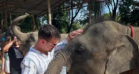 Galerie foto - poza 2